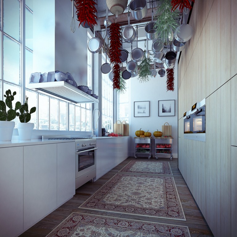 apartment-interior-narrow-industrial-loft-apartment-kitchen-design-ideas