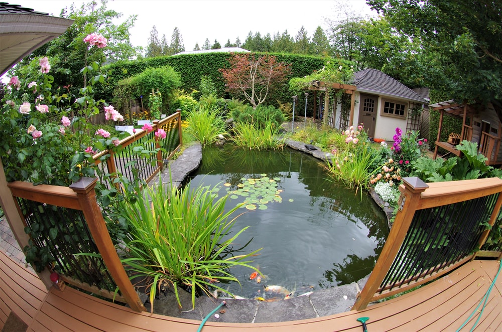 4 Stunning Water Features to Transform Your Garden